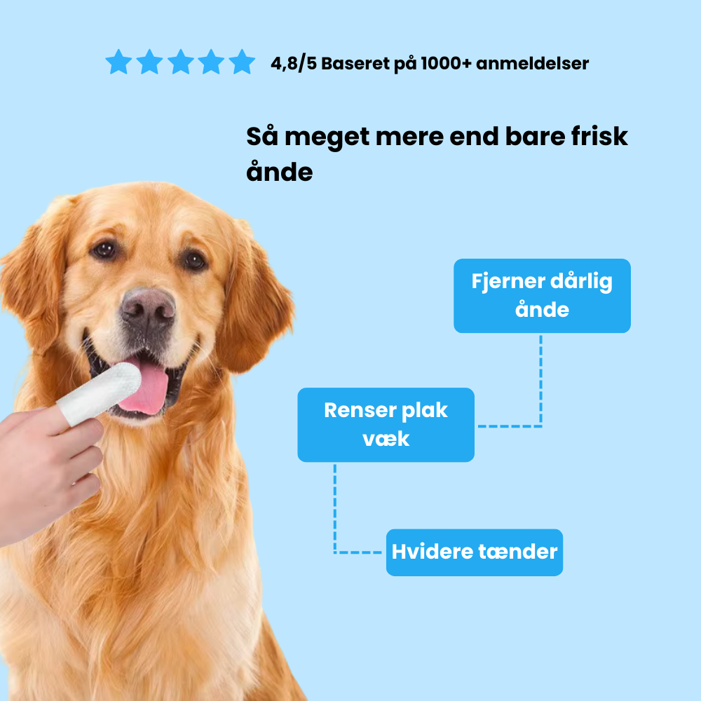 Sormipyyhkeet lemmikeille