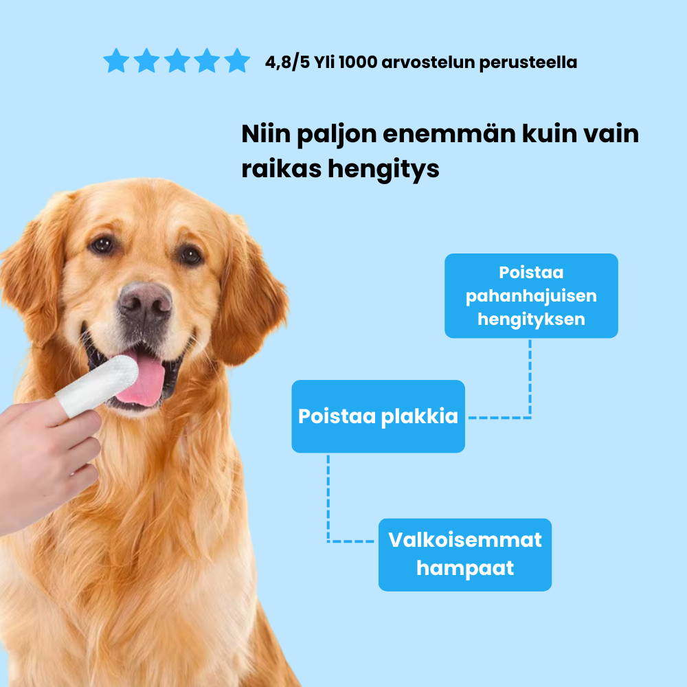 Sormipyyhkeet lemmikeille