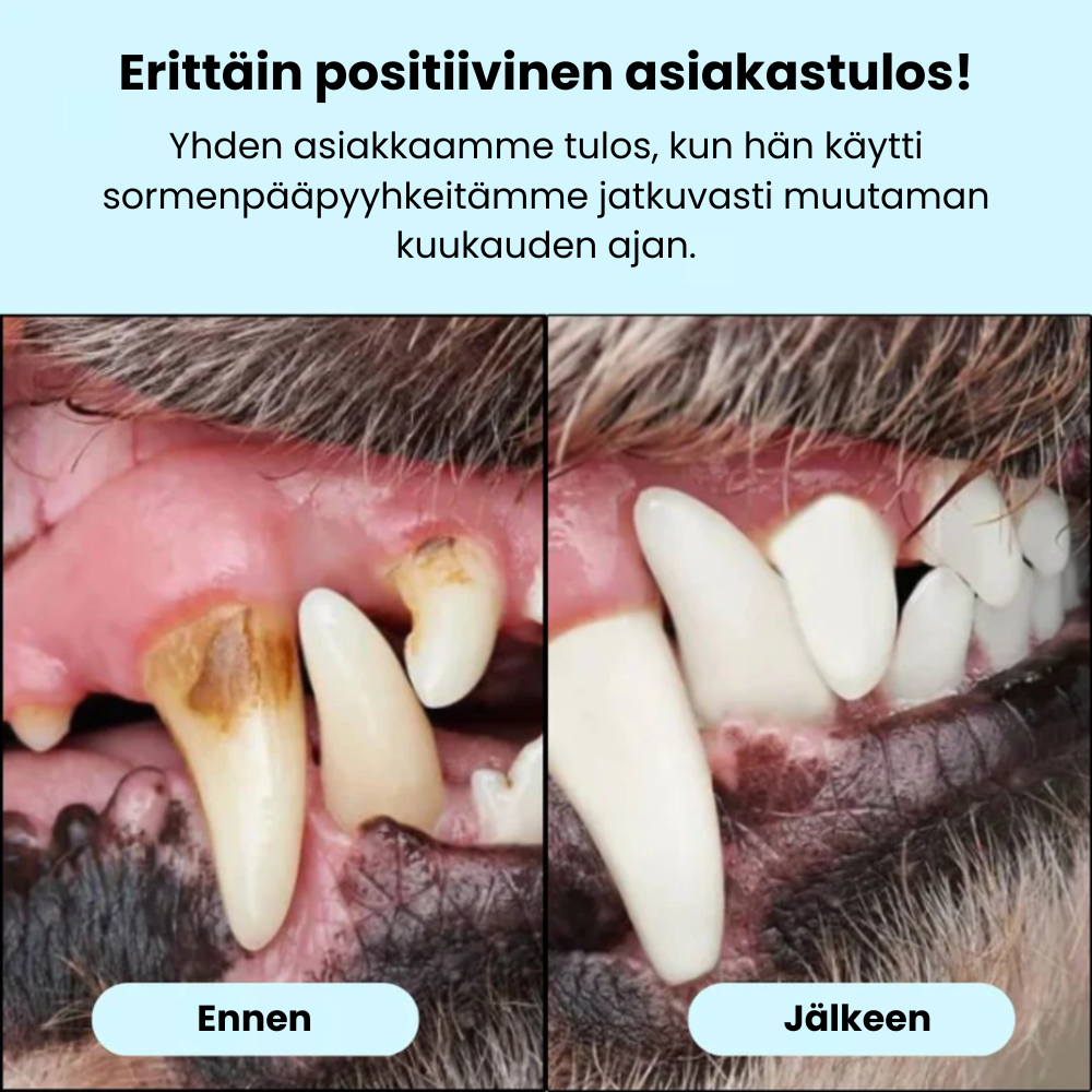 Sormipyyhkeet lemmikeille