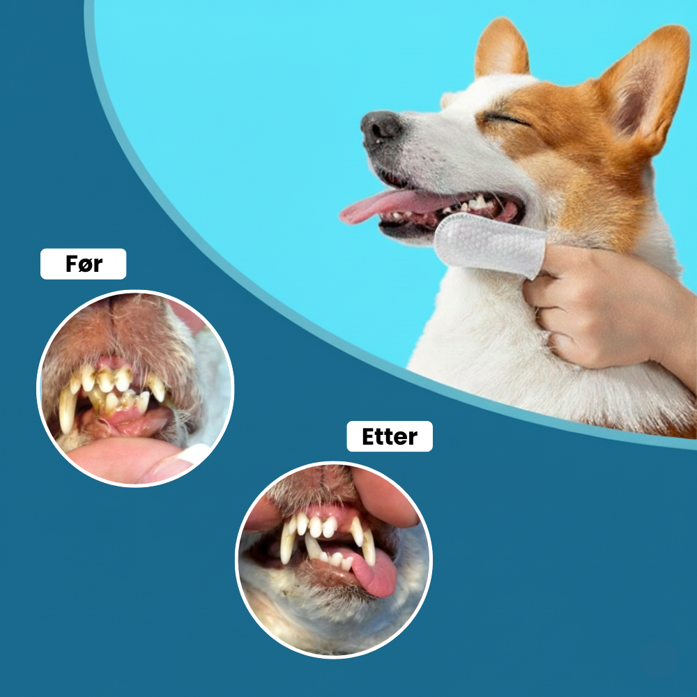 Sormenpyyhkeet lemmikeille