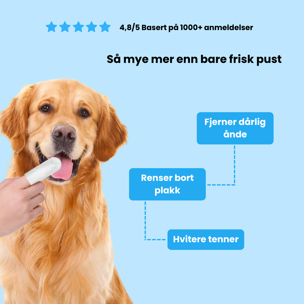 Sormenpyyhkeet lemmikeille