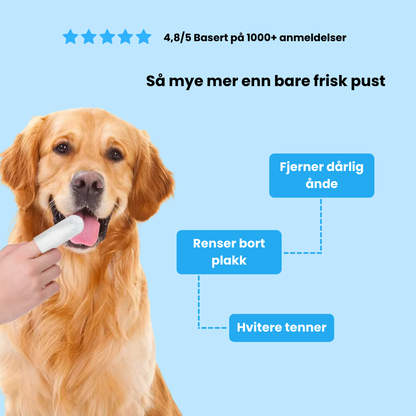 Sormenpyyhkeet lemmikeille