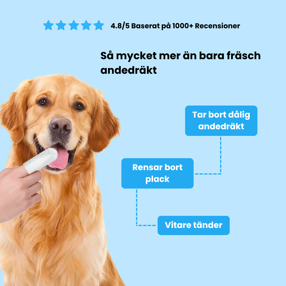 Sormipyyhkeet lemmikeille