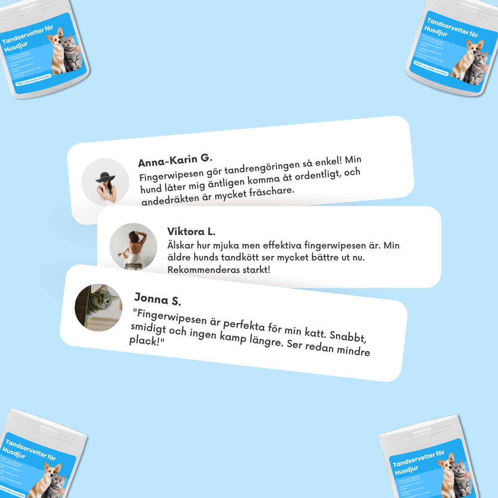 Sormipyyhkeet lemmikeille